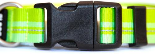 Show full view: DOG iD The Rock Solid Personalized ID Tag Dog Collar, Slate, Green, X-Large slide 4 of 9