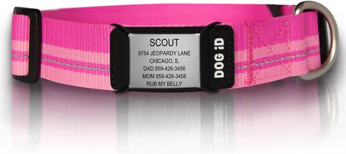 Show full view: DOG iD The Rock Solid Personalized ID Tag Dog Collar, Slate, Pink, X-Large slide 1 of 8