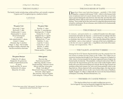 Show full view: Dog Lover's Trivia slide 2 of 5