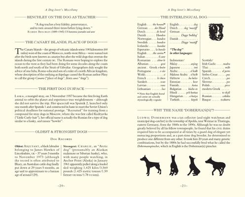 Show full view: Dog Lover's Trivia slide 3 of 5