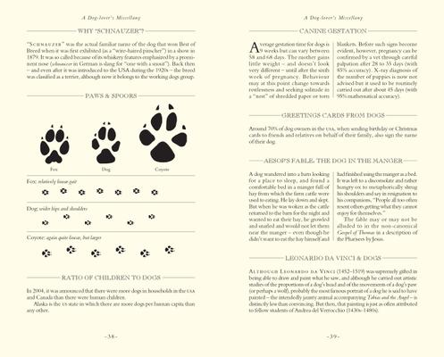 Show full view: Dog Lover's Trivia slide 4 of 5