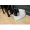 Show in main carousel: Dog Mate Large Fresh Water Plastic Dog & Cat Fountain, 192-oz slide 4 of 10