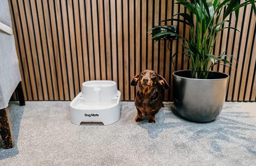 Show full view: Dog Mate Large Fresh Water Plastic Dog & Cat Fountain, 192-oz slide 5 of 10