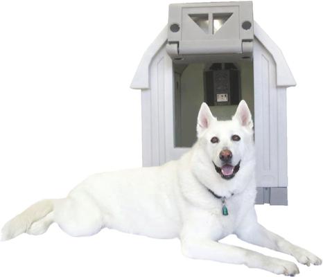 Dog Palace Insulated Heated Dog House