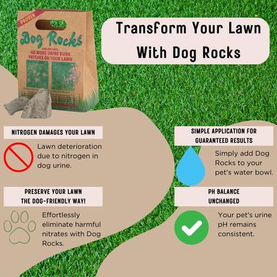 Show full view: Dog Rocks Grass & Lawn Saver Dog Urine Burn Patch Protection, 6 months slide 5 of 13