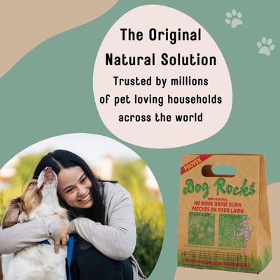 Show full view: Dog Rocks Grass & Lawn Saver Dog Urine Burn Patch Protection, 6 months slide 8 of 13