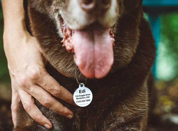 Show full view: Dog Tag Art Canine America Shield Personalized Dog & Cat ID Tag, Large slide 5 of 5