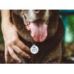 Show in main carousel: Dog Tag Art Canine America Shield Personalized Dog & Cat ID Tag, Large slide 5 of 5