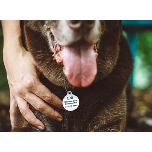 Dog Tag Art Hello. My Name Is Personalized Dog & Cat ID Tag, Large