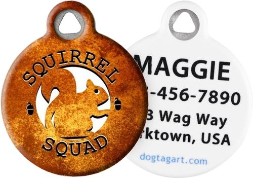 Show full view: Dog Tag Art Squirrel Squad Personalized Dog & Cat ID Tag, Large slide 1 of 6