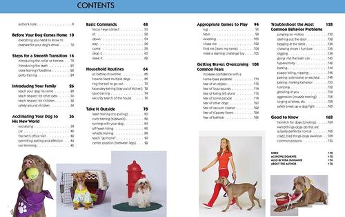 Show full view: Dog Training 101: Step-by-Step Instructions for Raising a Happy, Well-Behaved Dog slide 2 of 6