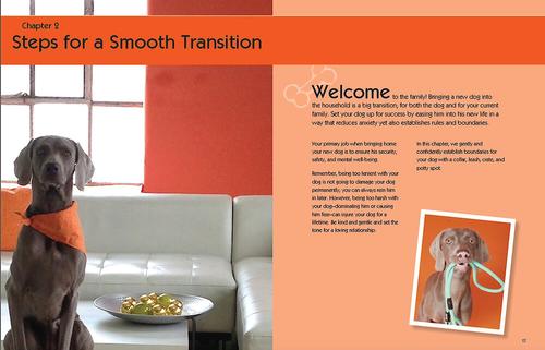 Show full view: Dog Training 101: Step-by-Step Instructions for Raising a Happy, Well-Behaved Dog slide 3 of 6