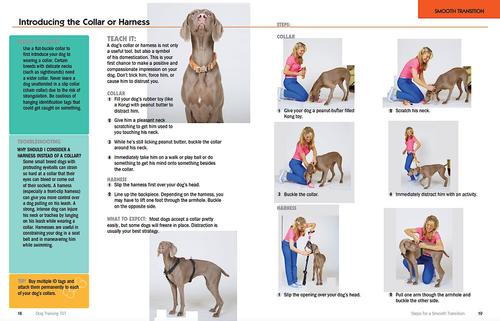 Show full view: Dog Training 101: Step-by-Step Instructions for Raising a Happy, Well-Behaved Dog slide 4 of 6