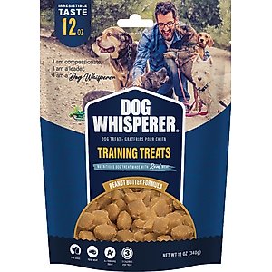 Dog Whisperer Training Peanut Butter Flavored Chewy Dog Treats, 12-oz bag