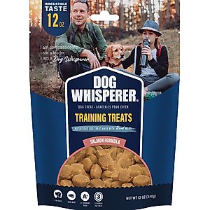 Dog Whisperer Training Salmon Flavored Chewy Dog Treats, 12-oz bag