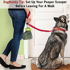 DogBuddy Dog Pooper Scooper, Kiwi, Medium