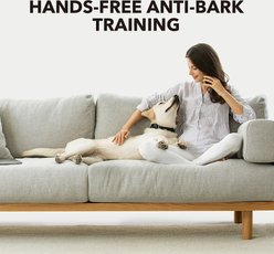 DogCare AB-Collar-11 Dog Bark Control Collar, Small, Black slide 2 of 5