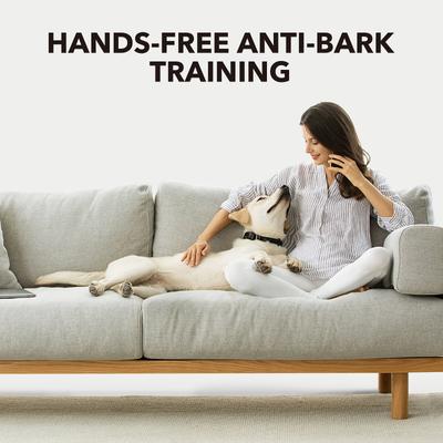 Show full view: DogCare AB-Collar-11 Dog Bark Control Collar, Small, Black slide 3 of 6