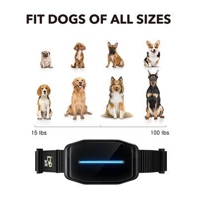 Show full view: DogCare AB-Collar-11 Dog Bark Control Collar, Small, Black slide 5 of 6