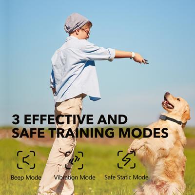 Show full view: DogCare TC-System-11 Dog Training System Receiver, Small, Black slide 3 of 7