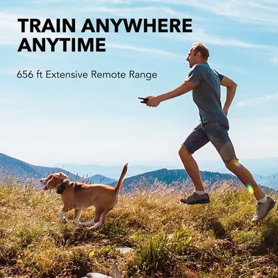 Show full view: DogCare TC-System-11 Dog Training System Receiver, Small, Black slide 4 of 7