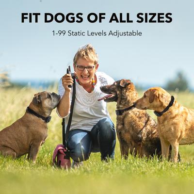 Show full view: DogCare TC-System-11 Dog Training System Receiver, Small, Black slide 5 of 7