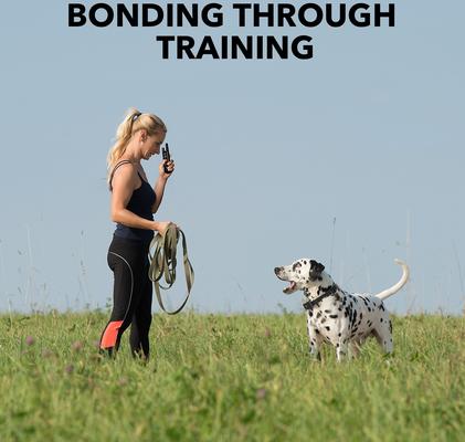 Show full view: DogCare TC-System-11 Dog Training System, Small, Blue slide 2 of 7