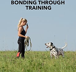 DogCare TC-System-11 Dog Training System, Small, Green slide 2 of 7