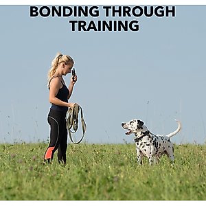 DogCare TC-System-11 Dog Training System, Small, Green