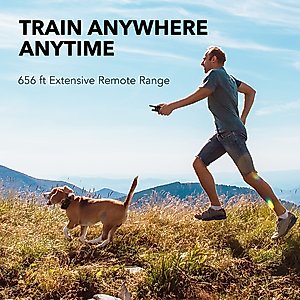 DogCare TC-System-11 Dog Training System, Small, Green