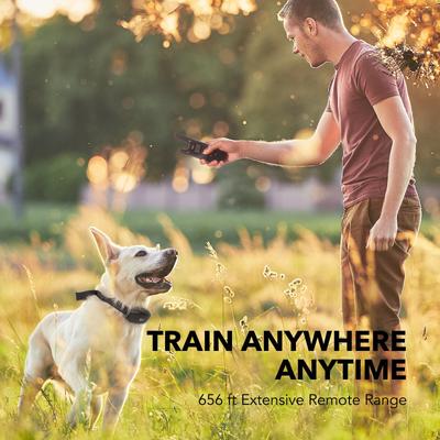 Show full view: DogCare TC-System-15 Dog Training System Receiver Collar, Small, Black slide 6 of 7