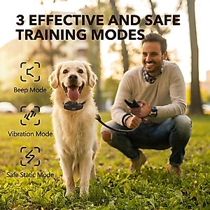 DogCare TC-System-15 Dog Training System, Small, Black