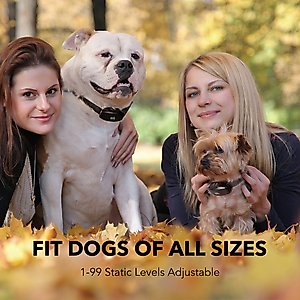 DogCare TC-System-15 Dog Training System, Small, Black