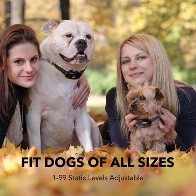 Show full view: DogCare TC-System-15 Dog Training System, Small, Black slide 4 of 8