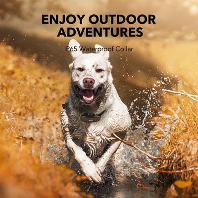 Show full view: DogCare TC-System-15 Dog Training System, Small, Black slide 5 of 8