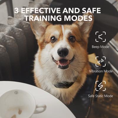 Show full view: DogCare TC-System-18 Dog Training System, Small, Black slide 3 of 8