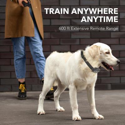 Show full view: DogCare TC-System-18 Dog Training System, Small, Black slide 6 of 8