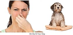 doggiCLEEN Skunk Spray Odor Eliminating Dog Spray, 12-oz bottle slide 2 of 2