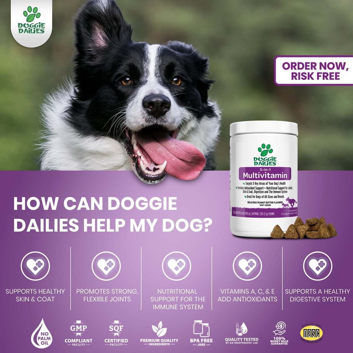 Doggie Dailies 5-in-1 Multivitamin Soft Chew Dog Supplement, 225 count