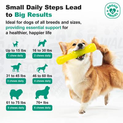 Show full view: Doggie Dailies Advanced Hip & Joint Chicken Flavored Soft Chew Joint Supplement for Dogs, 225 count slide 5 of 11