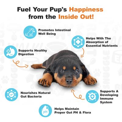 Show full view: Doggie Dailies Puppy Probiotics for Puppies with Digestive Enzymes, Promotes Digestive Health, Supports Immune System & Overall Development, 120 count slide 5 of 11