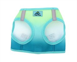 Doggie Design American River Ombre Nylon Reflective Back Clip Dog Harness, Aruba Blue, Medium: 16 to 19-in chest