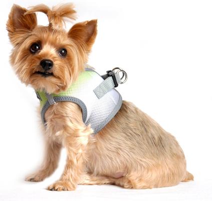 Show full view: Doggie Design American River Ombre Nylon Reflective Back Clip Dog Harness, Limestone Gray, Small: 13 to 16-in chest slide 5 of 10