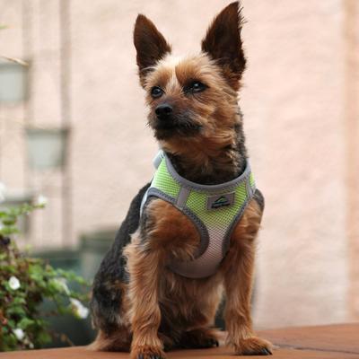 Show full view: Doggie Design American River Ombre Nylon Reflective Back Clip Dog Harness, Limestone Gray, Small: 13 to 16-in chest slide 6 of 10