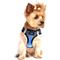 Show in main carousel: Doggie Design American River Ombre Nylon Reflective Back Clip Dog Harness, Midnight Sky, Medium: 16 to 19-in chest slide 3 of 8