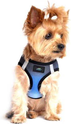 Show full view: Doggie Design American River Ombre Nylon Reflective Back Clip Dog Harness, Midnight Sky, Medium: 16 to 19-in chest slide 3 of 8
