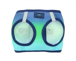 Doggie Design American River Ombre Nylon Reflective Back Clip Dog Harness, Northern Lights, Small: 13 to 16-in chest