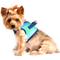 Show in main carousel: Doggie Design American River Ombre Nylon Reflective Back Clip Dog Harness, Northern Lights, Small: 13 to 16-in chest slide 4 of 8