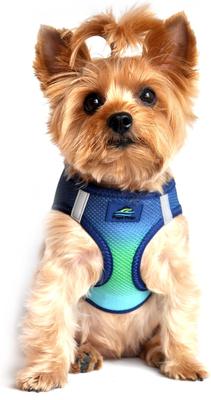 Show full view: Doggie Design American River Ombre Nylon Reflective Back Clip Dog Harness, Northern Lights, X-Small: 11 to 13-in chest slide 4 of 9