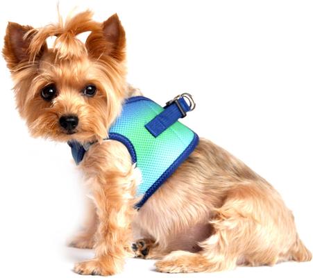 Show full view: Doggie Design American River Ombre Nylon Reflective Back Clip Dog Harness, Northern Lights, X-Small: 11 to 13-in chest slide 5 of 9